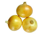 fresh onion